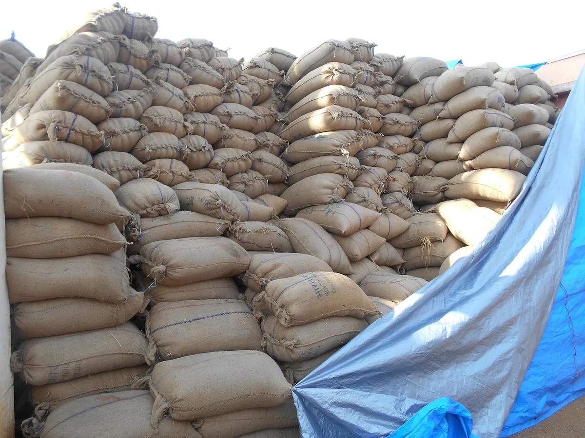Stacked sacks of rice inside an Indian rice mill