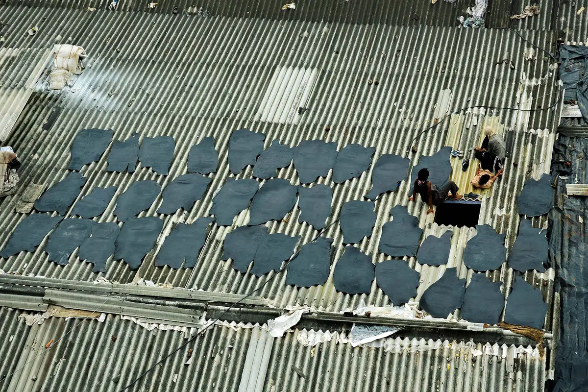 Hides drying on a factory rooftop in Dharavi, Mumbai
